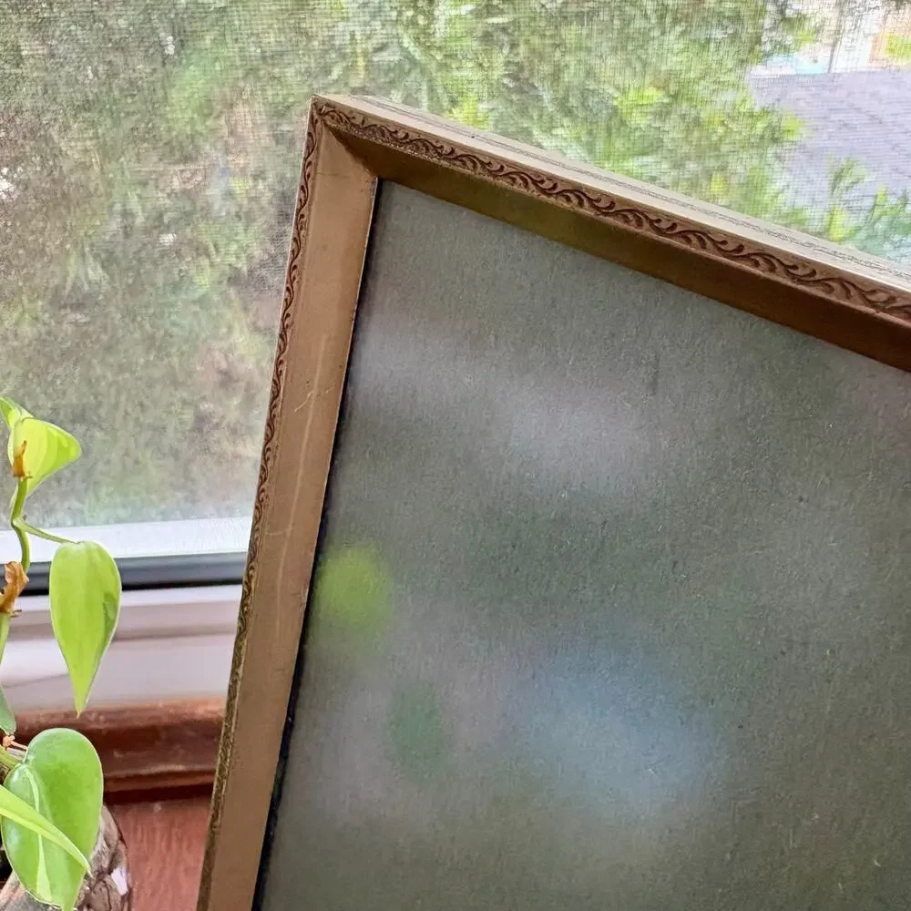 Vintage Gold Tone 8x10 Frame Tinted Glass Velvet Back